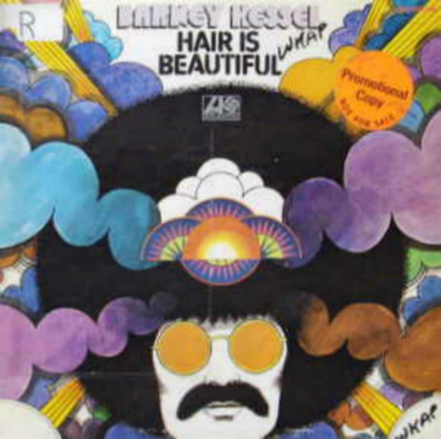 Barney Kessel / Hair Is Beautiful