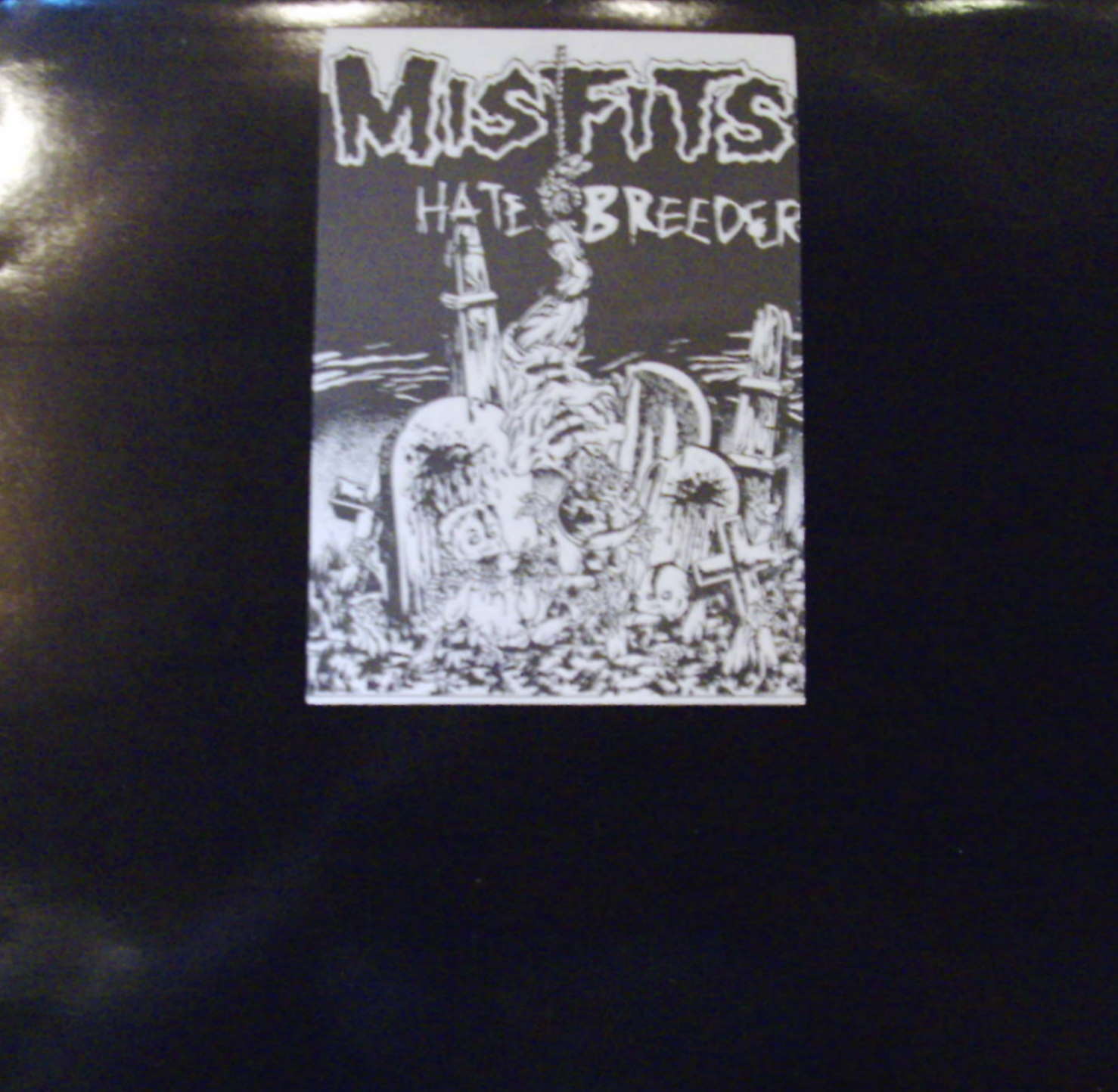 Misfits / Hate Breeder