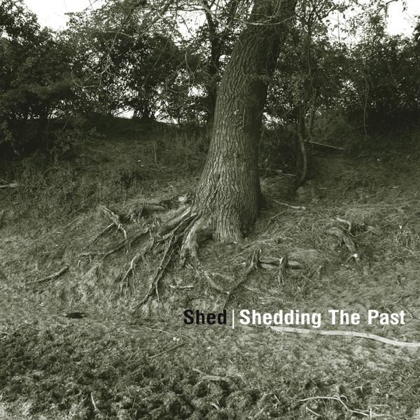 Shed / Shedding The Past
