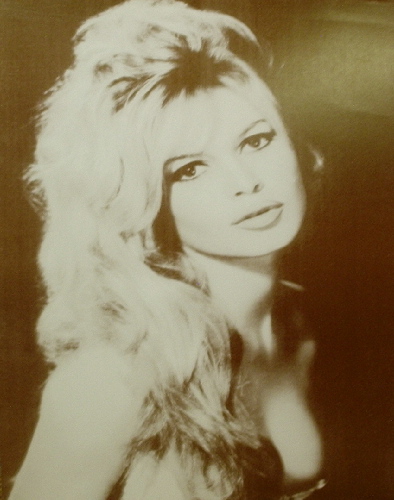 Bridgitte Bardot / Headshot