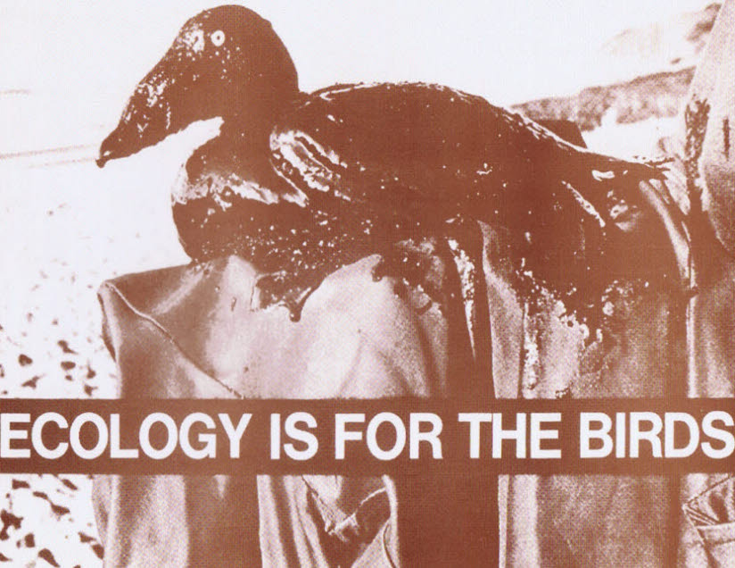 Ecology is for the Birds / Bird in Oil